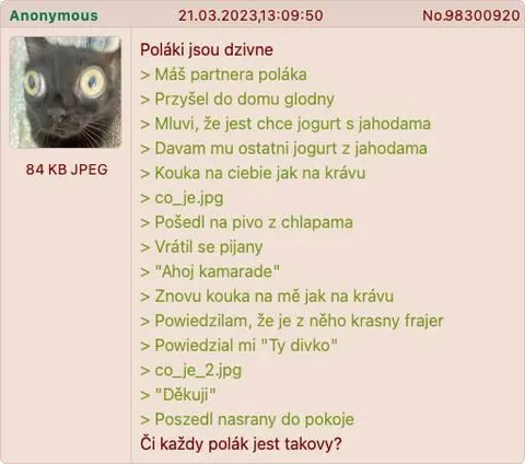 Poláci jsou divné