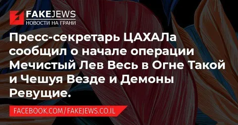 Операция Мечистый Лев