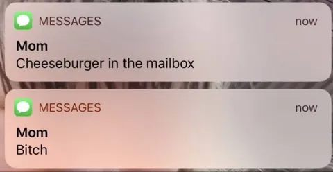 Cheeseburger in the Mailbox