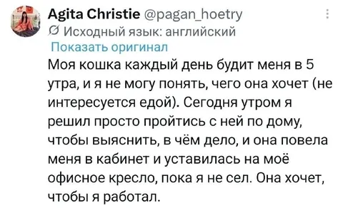 Кошка заставляет работать