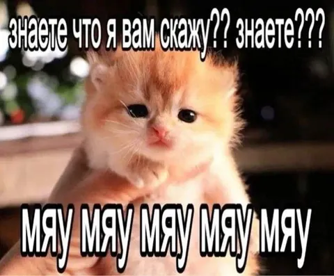 Знаете, что я вам скажу?