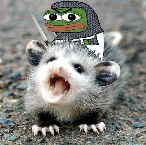 Pepe rides angry opossum