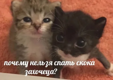 Почему нельзя спать сколько захочется