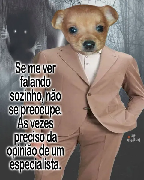 Opinião de um especialista