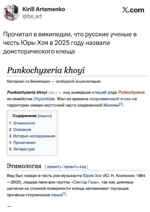 Доисторический клещ Юры Хоя