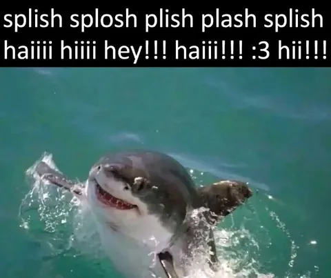 Excited Shark Says Hi