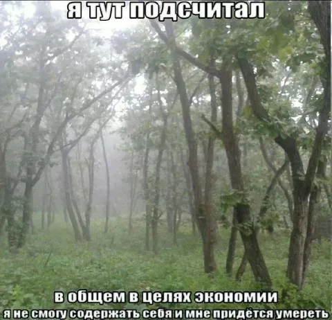 Подсчитал расходы на содержание