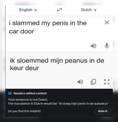 Google Translate Dutch Fail