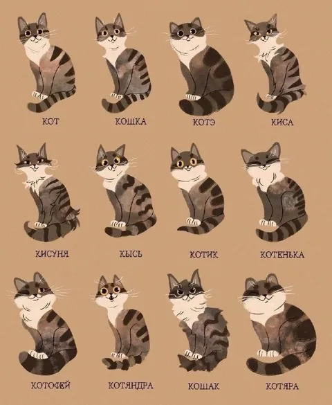 Разные названия кота