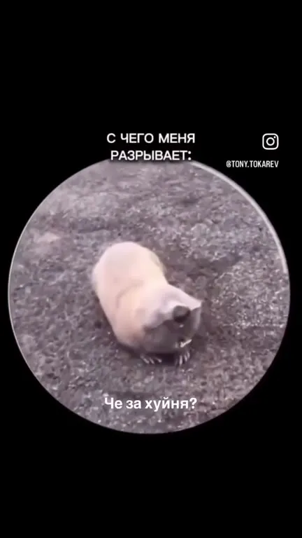 С чего меня разрывает