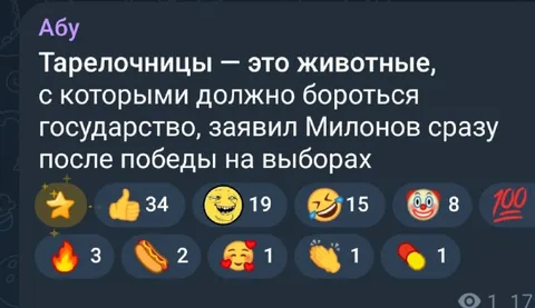 Милонов после победы на выборах