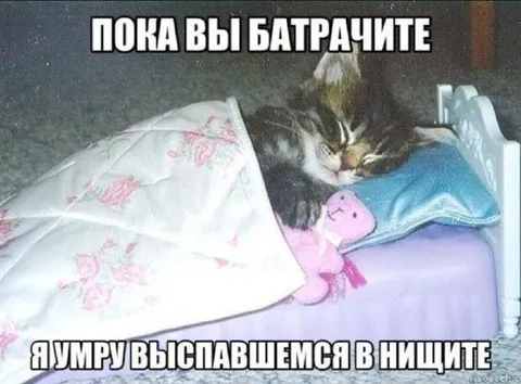 Пока вы батрачите, я сплю