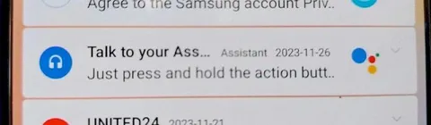 Talk to Your Ass