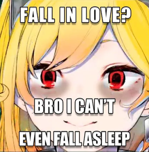 Fall in Love Can't Sleep