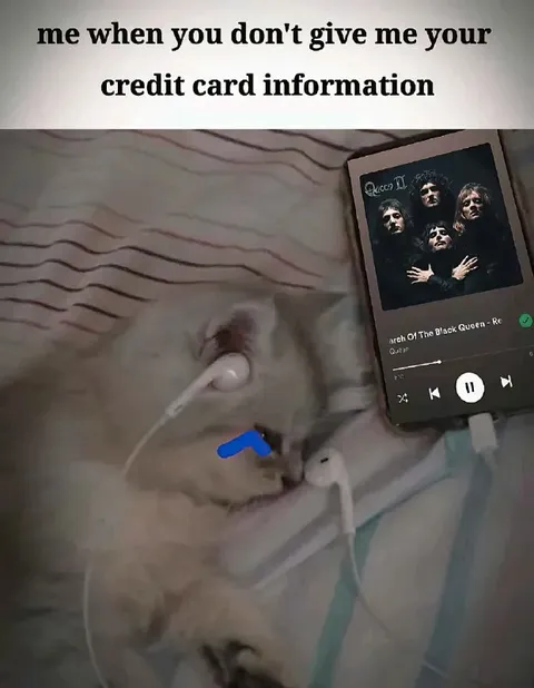Cat Demands Your Card Information