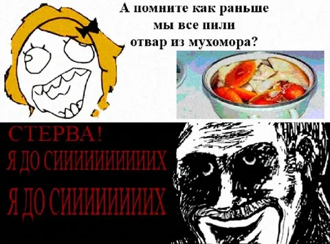 Отвар из мухомора
