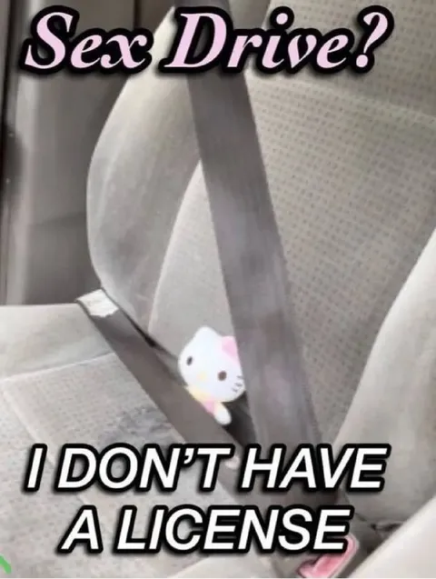 Hello Kitty Sex Drive