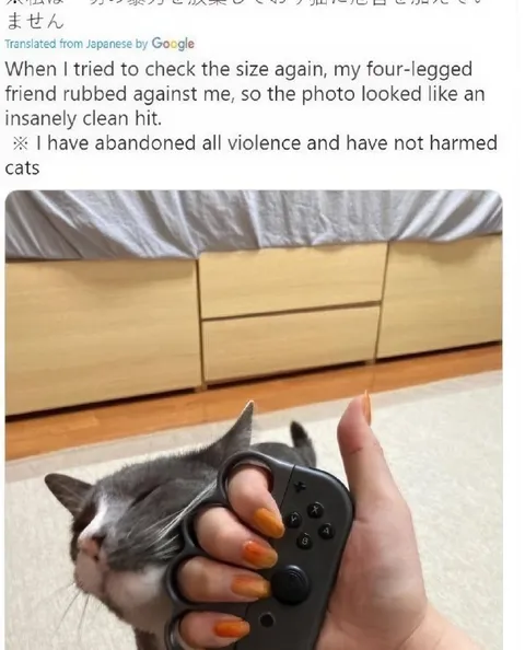 Cat Controller Clean Hit