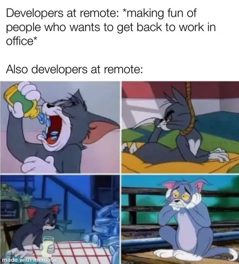 Developers Working Remotely