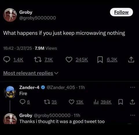 Microwaving Nothing Causes Fire
