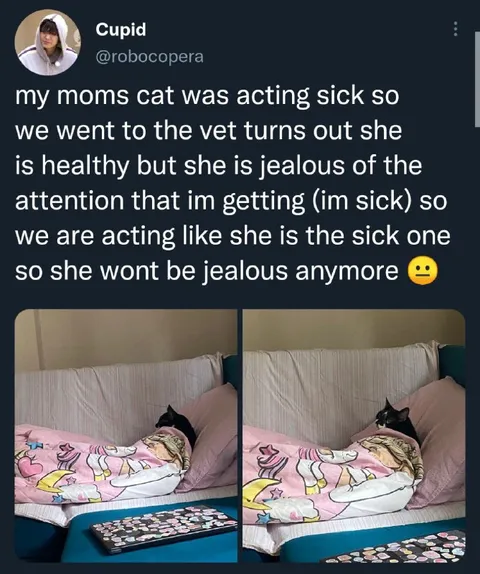Jealous Cat Pretends to Be Sick