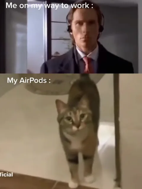 My AirPods Are Just a Cat