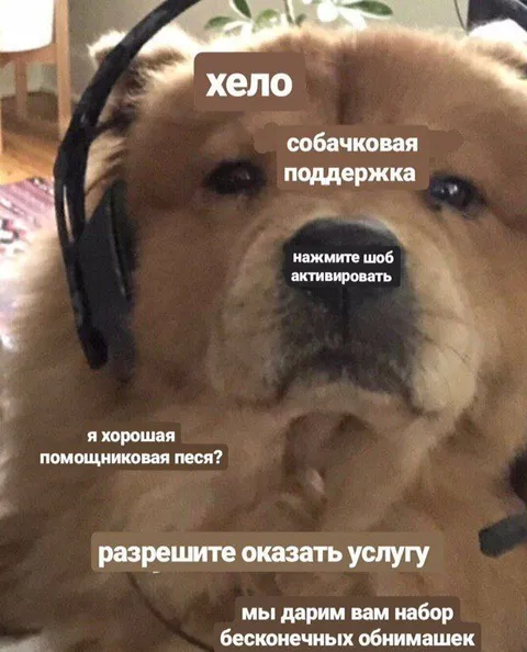 Собачковая поддержка и обнимашки