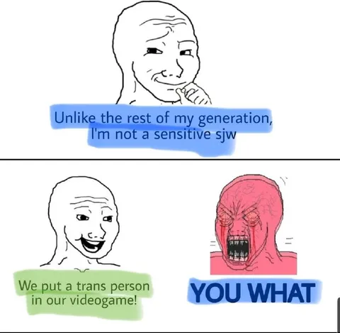 Not a Sensitive SJW
