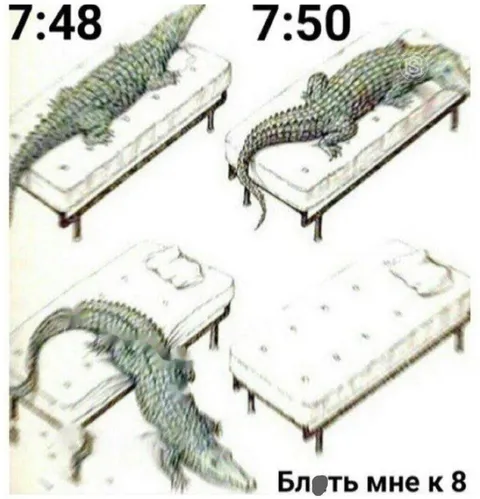 Блять, мне к восьми