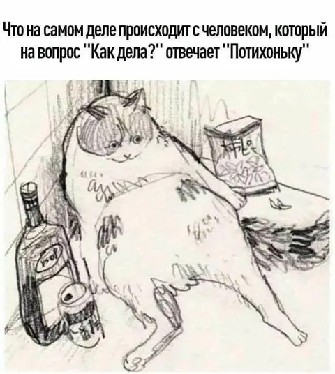 Как дела? Потихоньку
