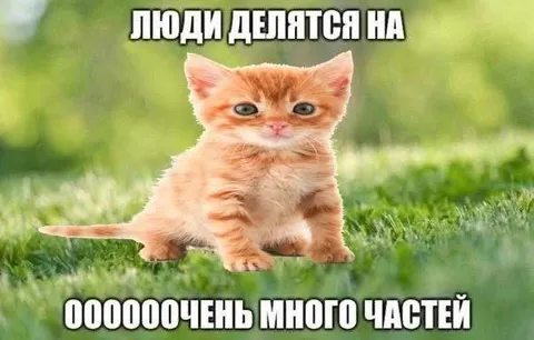 Люди делятся на очень много частей