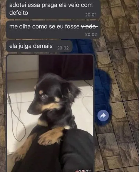 Ela veio com defeito