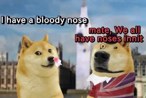 Doge Has a Bloody Nose