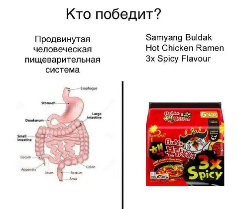Кто победит: кишечник или лапша