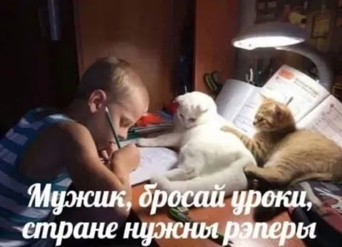 Мужик, бросай уроки