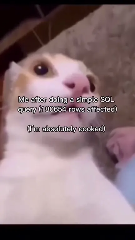 Cat After a Massive SQL Query