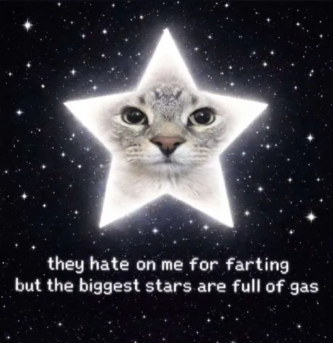 Farting Star Cat