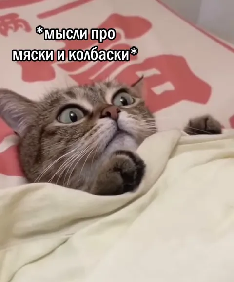 Мысли про мясо и колбаски