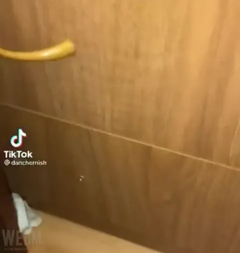 Краб вылез из шкафа