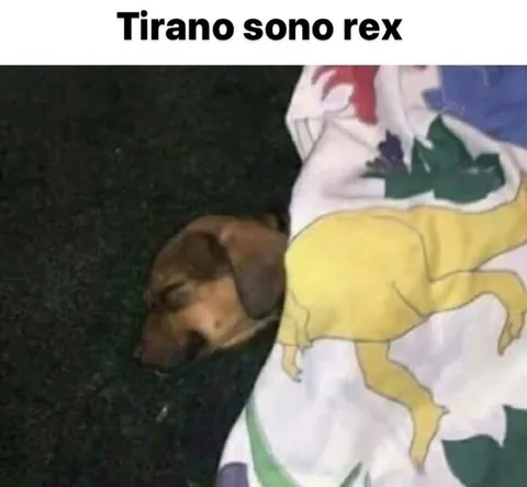 Tirano sono rex