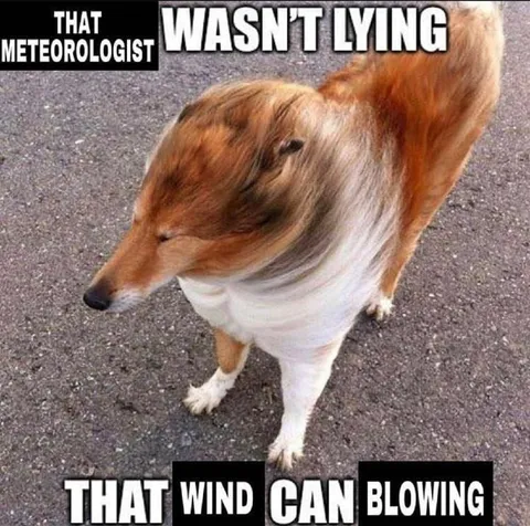 Meteorologist Wasn't Lying