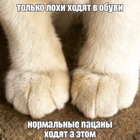 Только лохи ходят в обуви