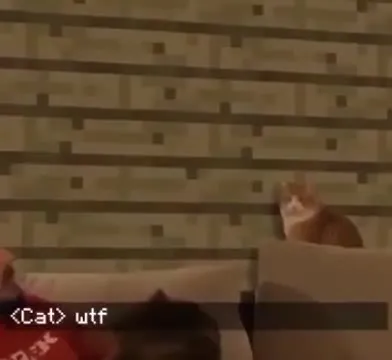 Cats Watch Minecraft in Confusion