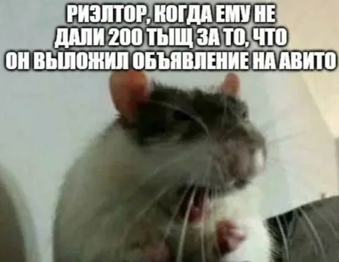 Ризлтор не получил 200 тысяч