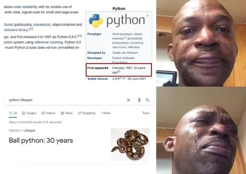 Python Lifespan Misunderstanding