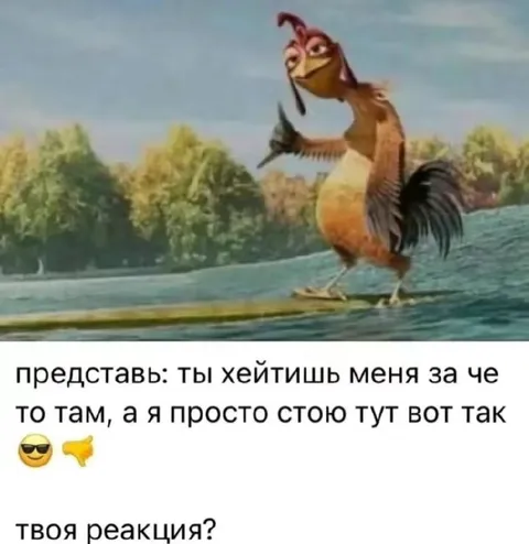 Петух принимает хейт