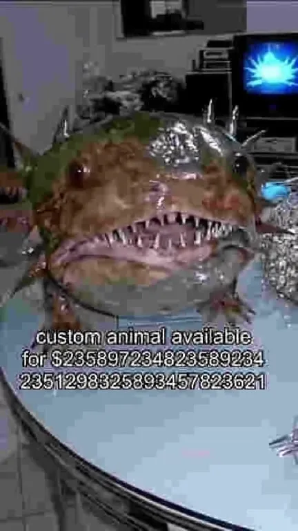 Custom Animal Available