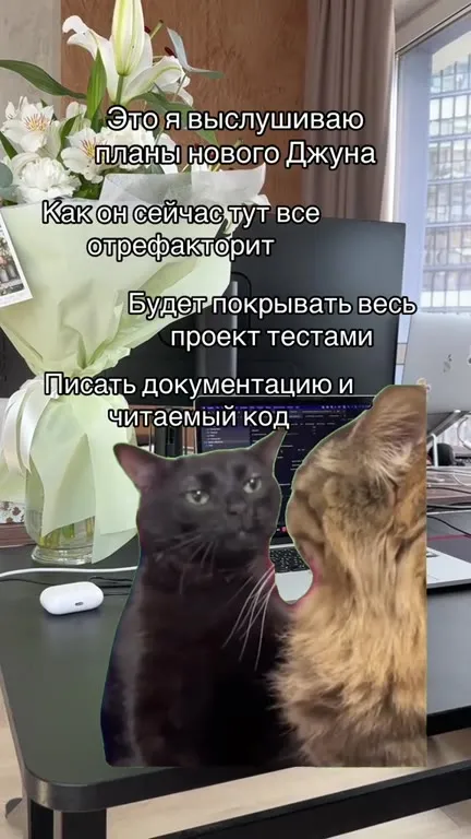Слушаю планы нового Джуна