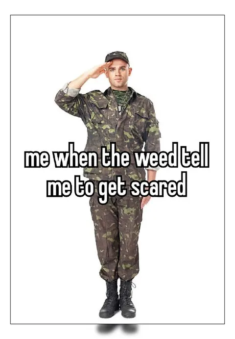 Soldier Salutes the Scary Weed