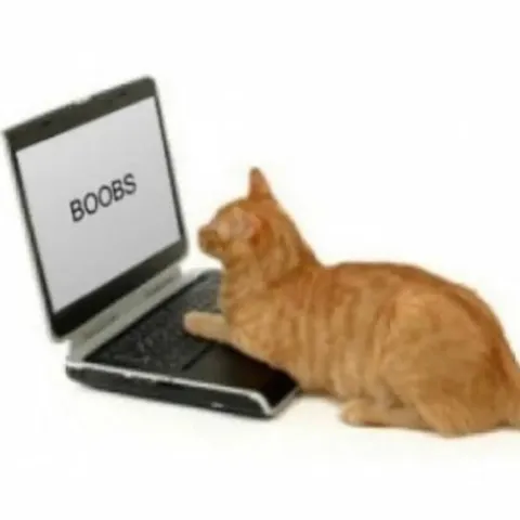 Cat Looking at Boobs